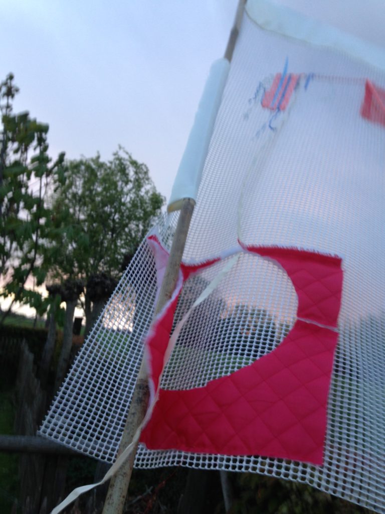 detail