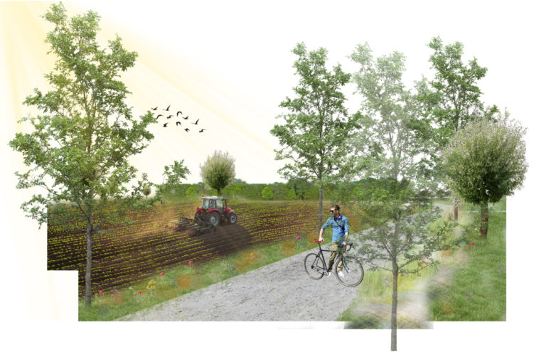 Sfeerbeeld ontwikkeling akkerlandschap (gemaakt door L. Lefebvre)
