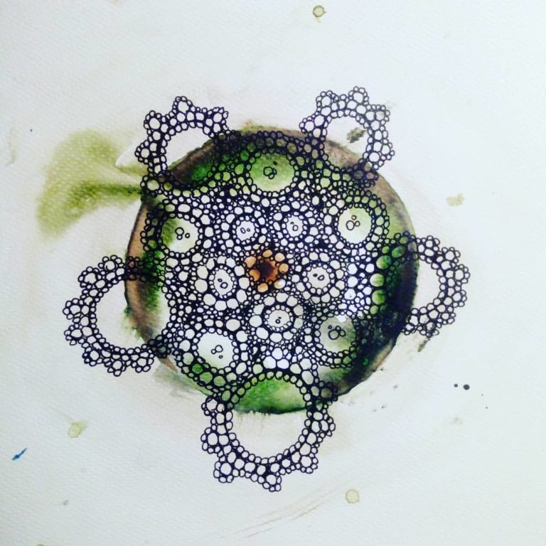 voorstudie