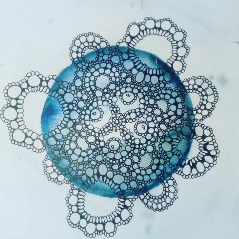 voorstudie