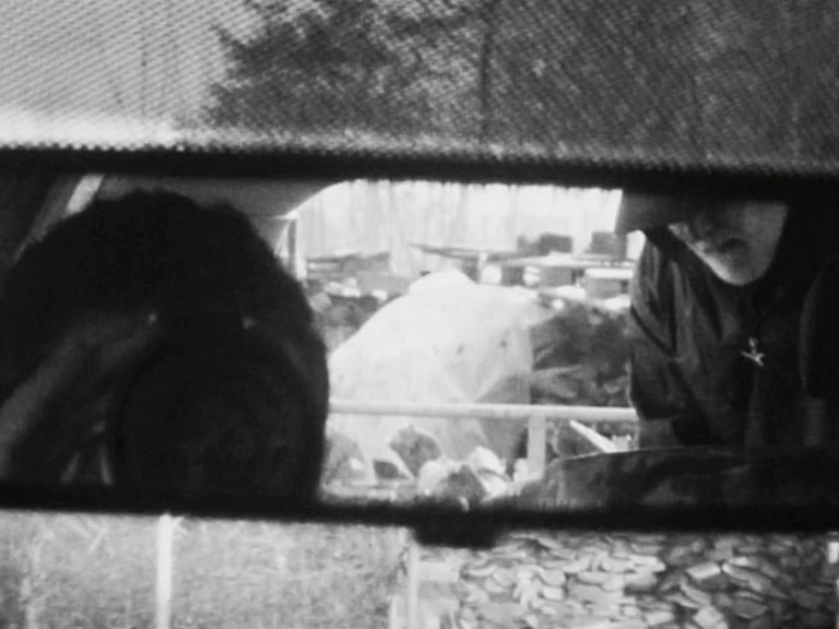 Still from M.B.
